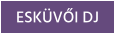 ESKÜVŐI DJ